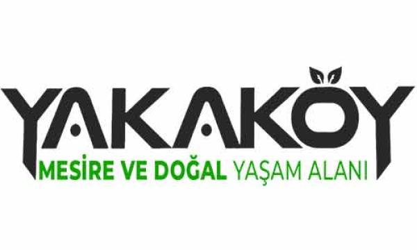 İzmir Karşıyaka GO Dijital Web Tasarım ve Dijital Ajans